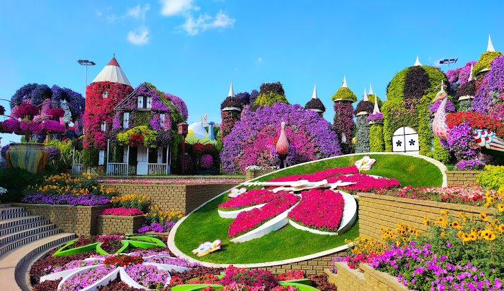 Tour Image