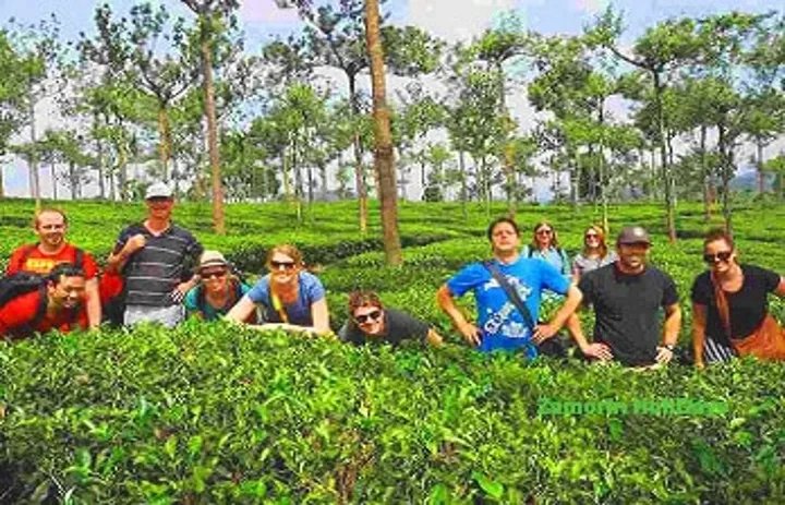 Tour Image
