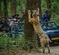Tour Image