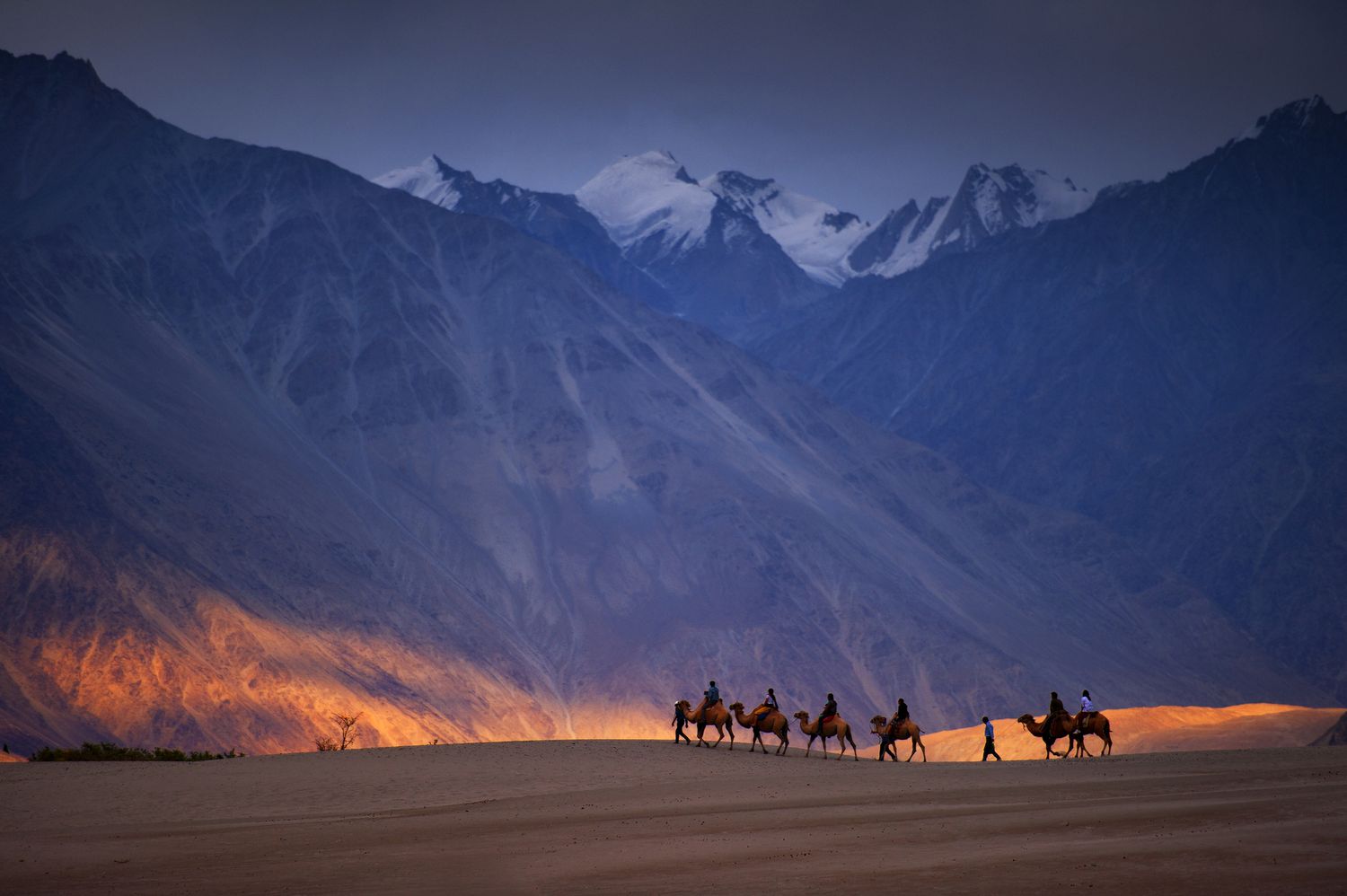 Ladakh Nubra Valley Tour